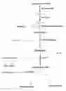 Fig. 01 - Methods of identifying anti-inflammatory macrolides