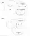 Fig. 03 - Methods of identifying anti-inflammatory macrolides