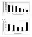 Fig. 06 - Methods of identifying anti-inflammatory macrolides