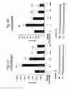 Fig. 07 - Methods of identifying anti-inflammatory macrolides