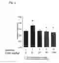 Fig. 08 - Methods of identifying anti-inflammatory macrolides