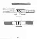 Fig. 02 - Native analyte as a reference in lateral flow assays