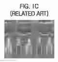 Fig. 04 - METHOD FOR FABRICATING STORAGE NODE CONTACT IN SEMICONDUCTOR DEVICE
