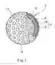 Fig. 02 - Golf ball