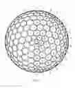 Fig. 03 - Golf ball