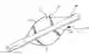 Fig. 01 - Performance arrow vane