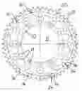 Fig. 02 - Sprocket