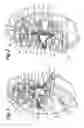 Fig. 02 - Electromechanical gear clutch