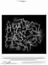 Fig. 05 - Variant CBH1 cellulases