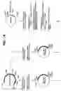 Fig. 24 - Variant CBH1 cellulases