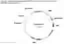 Fig. 40 - Variant CBH1 cellulases