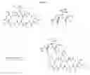 Fig. 04 - Compositions and methods for enhancing drug delivery across and into epithelial tissues