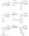 Fig. 10 - Compositions and methods for enhancing drug delivery across and into epithelial tissues