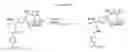 Fig. 12 - Compositions and methods for enhancing drug delivery across and into epithelial tissues
