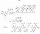 Fig. 16 - Compositions and methods for enhancing drug delivery across and into epithelial tissues