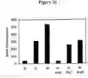 Fig. 20 - Compositions and methods for enhancing drug delivery across and into epithelial tissues
