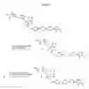 Fig. 23 - Compositions and methods for enhancing drug delivery across and into epithelial tissues