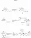 Fig. 33 - Compositions and methods for enhancing drug delivery across and into epithelial tissues