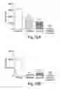 Fig. 12 - Methods for treating interleukin-18 mediated disorders with interleukin-18 binding proteins