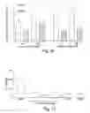 Fig. 17 - Methods for treating interleukin-18 mediated disorders with interleukin-18 binding proteins
