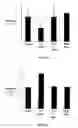 Fig. 07 - Method of reducing the effects of ischemia by administration of a thrombopoietin receptor ligand