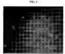 Fig. 03 - Compositions comprising lignin and methods of making and using the same