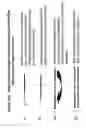 Fig. 15 - Rna interference mediated inhibition of cholesteryl ester transfer protein (cetp) gene expression using short interfering nucleic acid (sina)