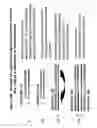 Fig. 16 - Rna interference mediated inhibition of cholesteryl ester transfer protein (cetp) gene expression using short interfering nucleic acid (sina)