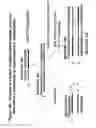 Fig. 17 - Rna interference mediated inhibition of cholesteryl ester transfer protein (cetp) gene expression using short interfering nucleic acid (sina)