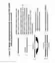 Fig. 19 - Rna interference mediated inhibition of cholesteryl ester transfer protein (cetp) gene expression using short interfering nucleic acid (sina)
