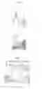 Fig. 05 - Novel endonuclease of immune cell, process for producing the same and immune adjuvant using the same
