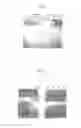 Fig. 09 - Novel endonuclease of immune cell, process for producing the same and immune adjuvant using the same
