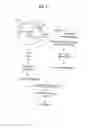 Fig. 14 - Novel endonuclease of immune cell, process for producing the same and immune adjuvant using the same