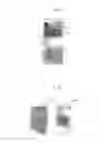 Fig. 15 - Novel endonuclease of immune cell, process for producing the same and immune adjuvant using the same