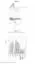 Fig. 16 - Novel endonuclease of immune cell, process for producing the same and immune adjuvant using the same