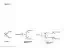 Fig. 05 - Modulation of immunostimulatory properties of oligonucleotide-based compounds by optimal presentation of 5′ ends