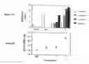 Fig. 09 - Modulation of immunostimulatory properties of oligonucleotide-based compounds by optimal presentation of 5′ ends
