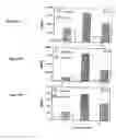 Fig. 10 - Modulation of immunostimulatory properties of oligonucleotide-based compounds by optimal presentation of 5′ ends