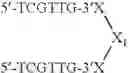 Fig. 110 - Modulation of immunostimulatory properties of oligonucleotide-based compounds by optimal presentation of 5′ ends