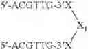 Fig. 112 - Modulation of immunostimulatory properties of oligonucleotide-based compounds by optimal presentation of 5′ ends