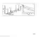 Fig. 19 - Modulation of immunostimulatory properties of oligonucleotide-based compounds by optimal presentation of 5′ ends