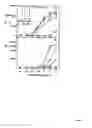 Fig. 20 - Modulation of immunostimulatory properties of oligonucleotide-based compounds by optimal presentation of 5′ ends