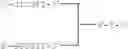 Fig. 50 - Modulation of immunostimulatory properties of oligonucleotide-based compounds by optimal presentation of 5′ ends