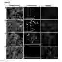 Fig. 03 - Methods for delivering extracellular target into cells