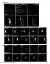 Fig. 05 - Methods for delivering extracellular target into cells