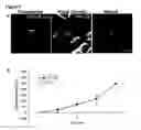 Fig. 06 - Methods for delivering extracellular target into cells
