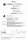 Fig. 02 - RNA interference mediated inhibition of proprotein convertase subtilisin Kexin 9 (PCSK9) gene expression using short interfering nucleic acid (siNA)