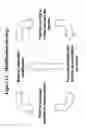 Fig. 15 - RNA interference mediated inhibition of proprotein convertase subtilisin Kexin 9 (PCSK9) gene expression using short interfering nucleic acid (siNA)