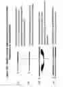 Fig. 18 - RNA interference mediated inhibition of proprotein convertase subtilisin Kexin 9 (PCSK9) gene expression using short interfering nucleic acid (siNA)