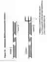 Fig. 35 - RNA interference mediated inhibition of proprotein convertase subtilisin Kexin 9 (PCSK9) gene expression using short interfering nucleic acid (siNA)